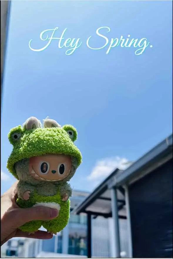 🎀 LABUBU Doll Accessories – A Touch of Magic for Every Adventure